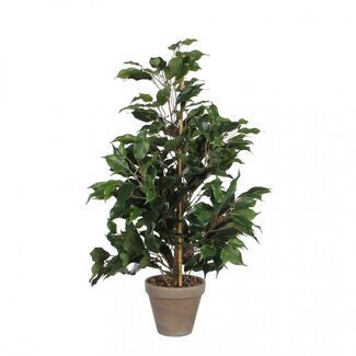 4A Feigenblatt Kunstpflanze mit Topf | Farbe: Grün | Ficus Exotica Kunstpflanze | Durchmesser ± 13 - 40 centimeter | Höhe ± 65 centimeter | Pro 6 Kunstpflanzen