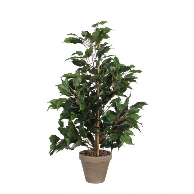 Plante artificielle à feuilles de figuier avec pot | Couleur: Vert | Plante artificielle Ficus Exotica | Diamètre ± 13 - 40 centimeter | Hauteur ± 65 centimeter | Par 6 plantes artificielles