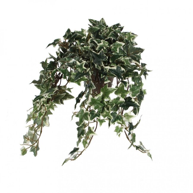 Efeu künstliche Pflanze mit Topf | Farbe: Grün Weiß | Hedera Helix künstliche Pflanze | Durchmesser ± 11 - 25 centimeter | Höhe ± 45 centimeter | Pro 4 künstliche Pflanzen