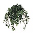 Efeu Kunstpflanze mit Topf | Farbe: Grün | Hedera Helix Kunstpflanze | Durchmesser ± 11 - 25 centimeter | Höhe ± 45 centimeter | Pro 4 Kunstpflanzen