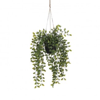 4A Green Hanging Plant Ficus Artificial Plant | Colour: Green | Diameter ± 20 centimeter | Height ± 46 centimeter | Per 6 artificial plants