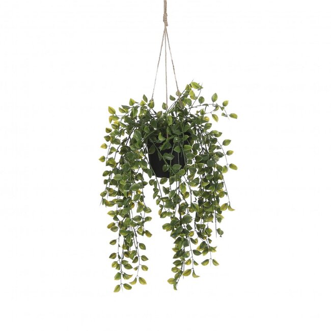 Green Hanging Plant Ficus Artificial Plant | Colour: Green | Diameter ± 20 centimeter | Height ± 46 centimeter | Per 6 artificial plants