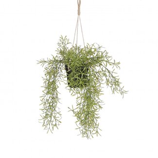 4A Rhipsalis Hängepflanze Kunstpflanze | Farbe: Grün | Durchmesser ± 20 centimeter | Höhe ± 40 centimeter | Pro 6 Kunstpflanzen