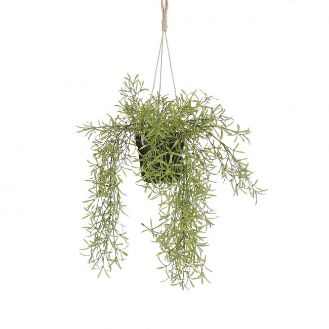 Rhipsalis Plante suspendue Plante artificielle | Couleur: Vert | Diamètre ± 20 centimeter | Hauteur ± 40 centimeter | Par 6 plantes artificielles