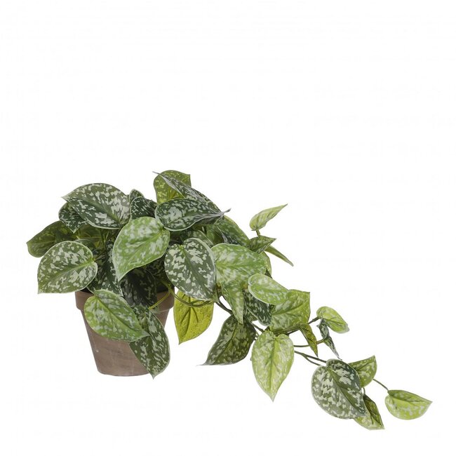 Drakenklimop Kunstplant met pot | Kleur: Groen | Epipremnum Kunstplant | Diameter ± 11 - 17 centimeter | Hoogte ± 44 centimeter | Per 4 kunstplanten