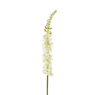 4A Naald van Cleopatra Kunstbloem | Kleur: Natuurlijk Wit | Eremurus Kunstbloemen | Lengte ± 94 centimeter | Per 2 kunstbloemen