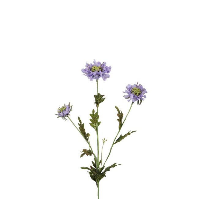 Fleur artificielle Duifkruid | Couleur: Violet | Scabiosa fleurs artificielles | Longueur ± 66 centimeter | Par 6 fleurs artificielles