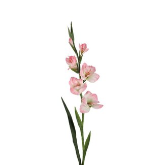 4A Glaïeul Fleur artificielle | Couleur: Rose pâle | Gladiolus Fleurs artificielles | Longueur ± 97 centimeter | Par 4 fleurs artificielles