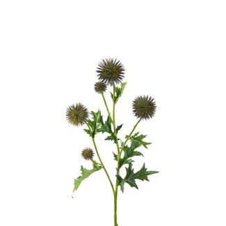 4A Thistle Artificial Flower | Colour: Blue | Eryngium Artificial Flowers | Length ± 70 centimetre | Per 6 artificial flowers