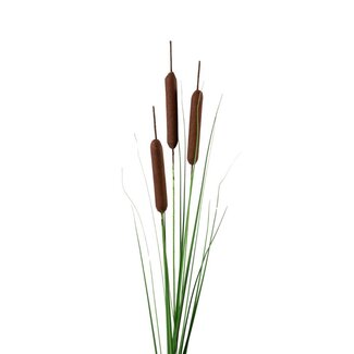 4A Lisdodde Kunsttak | Kleur: Bruin | Cattail Kunsttak | Lengte ± 119 centimeter | Per 6 kunsttakken