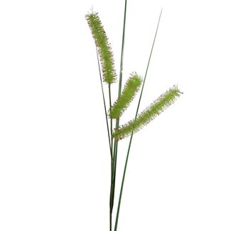 4A Branche artificielle de carex | Couleur: Vert | Carex Long Spiculé | Longueur ± 132 centimeter | Par 6 branches artificielles