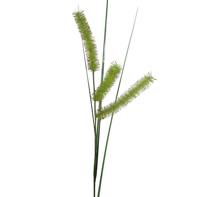 Segge Gras Kunstzweig | Farbe: Grün | Carex Long Spiculate | Länge ± 132 centimeter | Pro 6 Kunstzweig