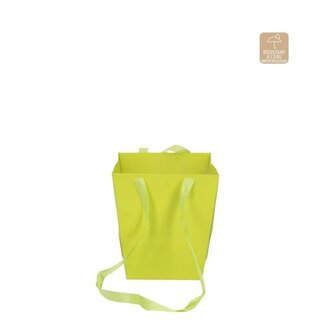 4A Cadeautasjes "Elegant” | Kleur: Appeltjesgroen | Breedte 12.5 - 16.5 centimeter | Hoogte 18 centimeter | Per 10 tassen