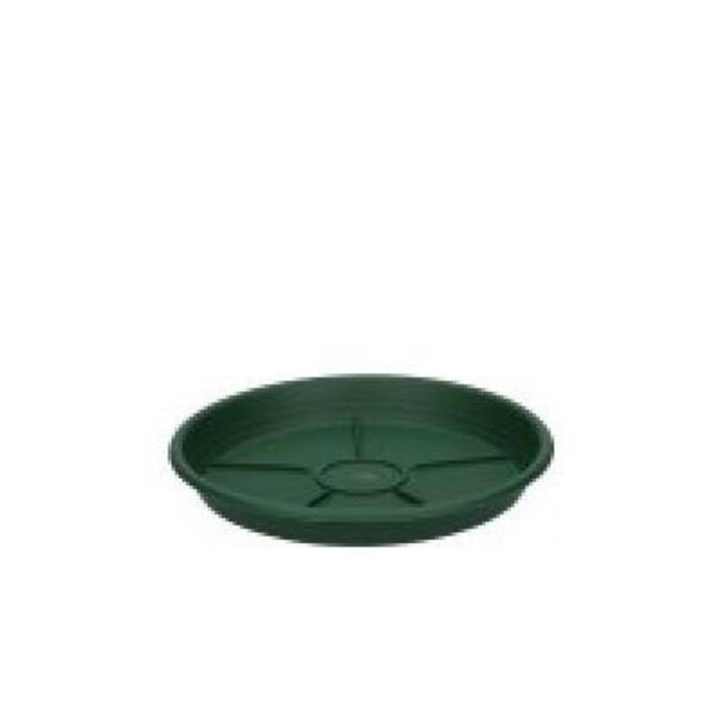 Kunststoff Wasserschale | Farbe: Dunkelgrün | Durchmesser 12 centimeter | Pro 10 Wasserschalen