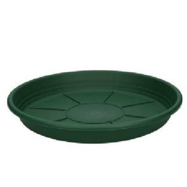 Soucoupe d'eau en plastique | Couleur: Vert foncé | Diamètre 30 centimeter | Par 10 soucoupes d'eau