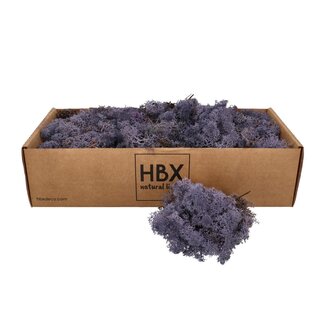 4A Gepreserveerd Rendiermos | Kleur: Lila Paars | Droogdecoratie | Gewicht 400 - 500 gram | Per doosje