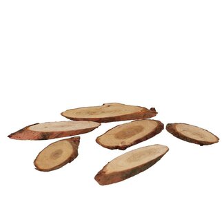4A Dried Pine Wood Slices | Colour: Brown | Dried decor | Per 250 gram