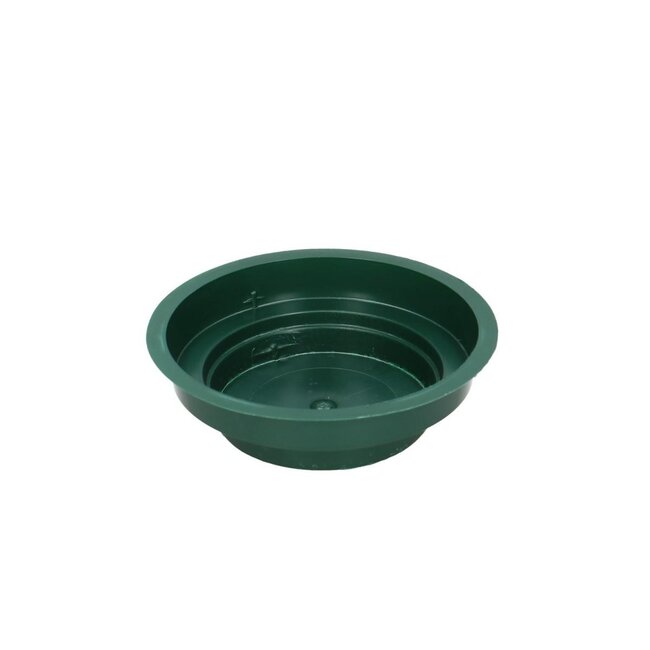 Oasis Junior coupe | Couleur: Vert | Diamètre 12 centimeter | Hauteur 3 centimeter | Par 25 coupelles