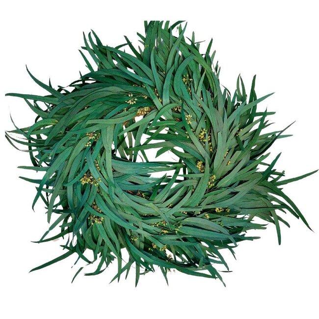 Couronne Eucalyptus Baie Préservée | Couleur: Vert | Diamètre 35 centimeter | Par couronne