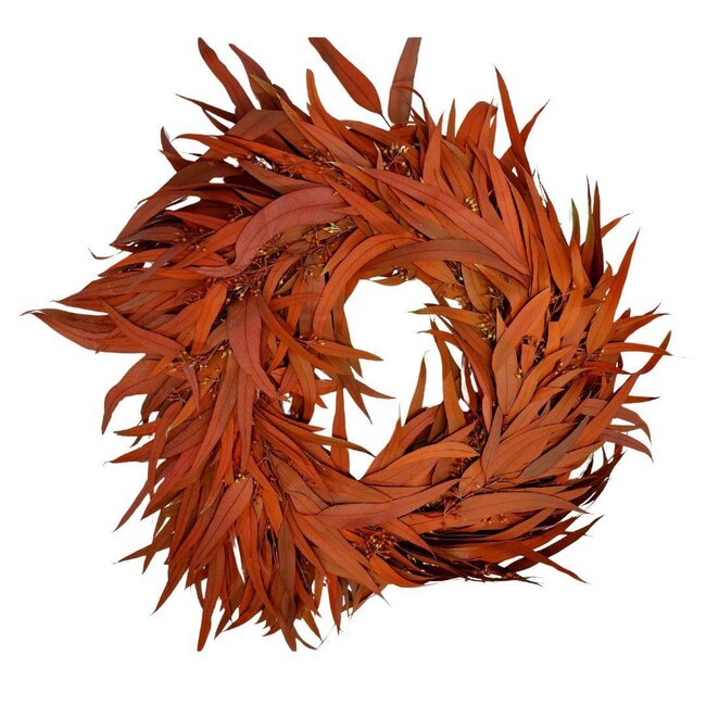 Couronne d'eucalyptus aux baies préservée | Couleur: Rouge | Diamètre 35 centimeter | Par couronne