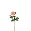 Peony artificial flower | Colour: Salmon-coloured | Paeonia artificial flowers | Length ± 76 centimetre | Per 12 artificial flowers
