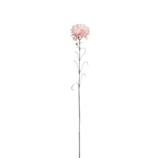 Carnation Artificial Flower | Colour: Pink | Dianthus Artificial Flowers | Length ± 66 centimeter | Per 12 Artificial Flowers