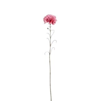 4A Nelke Kunstblume | Farbe: Dunkelrosa | Dianthus Kunstblumen | Länge ± 66 centimeter | Pro 12 Kunstblumen
