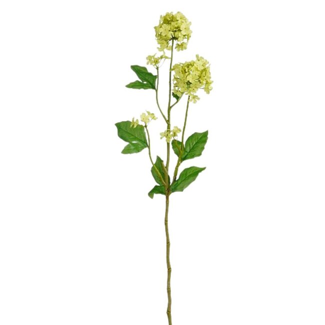Gelderse Roos of Sneeuwbal Kunstbloem | Kleur: Lichtgroen | Viburnum Opulus Kunstbloemen | Lengte ± 71 centimeter | Per 12 kunstbloemen