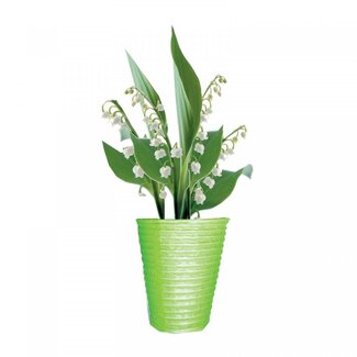 4A Potcover Muguet Lelietje-van-Dalen “Harmony” | Kleur: Lichtgroen | Diameter 10.5 centimeter | Hoogte 12.5 centimeter | Per 20 potcovers