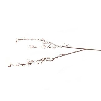 4A Branche de baies Bracea Branche artificielle | Couleur: Blanc naturel | Longueur ± 30 centimeter | Par 5 branches