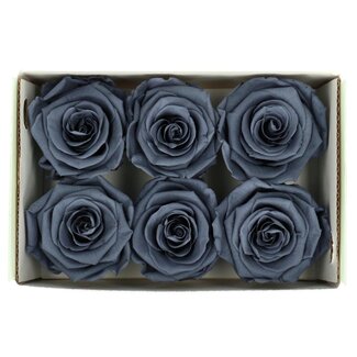 4A Gepreserveerde Rozen | Kleur: Grijs | Diameter 6 centimeter | Per 6 rozen