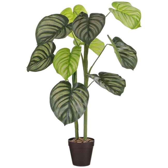 Elefantenohr Kunstpflanze mit Topf | Farbe: Hellgrün | Caladium Kunstpflanze | Durchmesser ± 15 centimeter | Höhe ± 100 centimeter | Pro 6 Kunstpflanzen