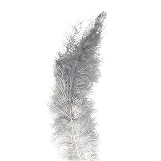 4A Struisvogel Veren | Kleur: Grijs | Lengte 55 centimeter | Per 5 veren