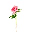 Pioenroos Kunstbloem | Kleur: Roze | Paeonia Kunstbloemen | Lengte ± 57 centimeter | Per 6 kunstbloemen
