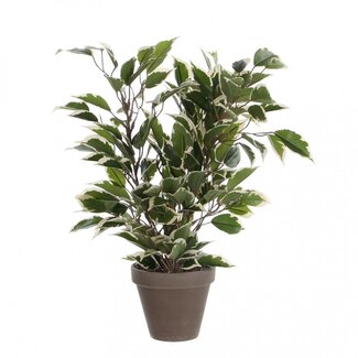 4A Ficus Natasja Kunstplant met pot | Kleur: Groen Wit | Diameter ± 11 - 30 centimeter | Hoogte ± 40 centimeter | Per 6 kunstplanten