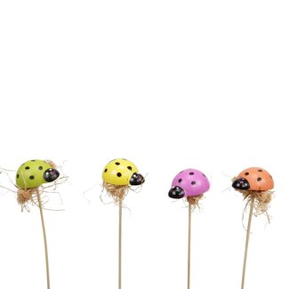 4A Ladybird garnish pick | Colour: Mixed Colours | Diameter 2.5 centimeter | Length garnish pick ± 20 centimeter | Per 72 garnish picks