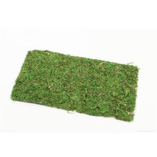 4A Gedroogde Mosmat | Kleur: Groen | Droogdecoratie | Lengte 30 centimeter | Breedte 18 centimeter | Per mat