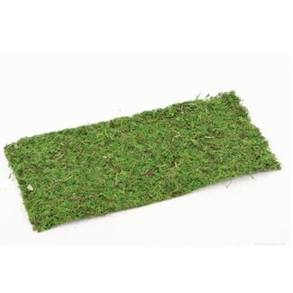 4A Dried Moss Mat | Colour: Green | Dried decoration | Length 38 centimeter | Width 18 centimeter | Per mat