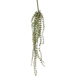 4A Branche de plante artificielle succulente suspendue | Couleur: Vert | Succulente retombante | Longueur ± 71 centimeter | Par branches artificielles