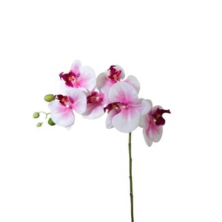 4A Orchidée papillon Fleur artificielle | Couleur: Rose | Phalaenopsis fleurs artificielles | Longueur ± 68 centimeter | Par 6 fleurs artificielles