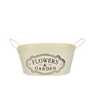 4A Bac en zinc Pot de fleur Cache-pot “Aron” | Couleur: Crème | Longueur 24 centimeter | Largeur 15 centimeter | Hauteur 10 centimeter | Par 10 bacs