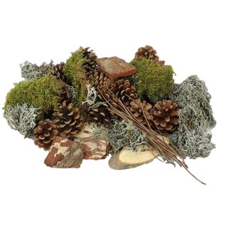 4A Dried deco Mix “Forest” | Colour: Mixed Colours | Dried decoration | Per 500 gram