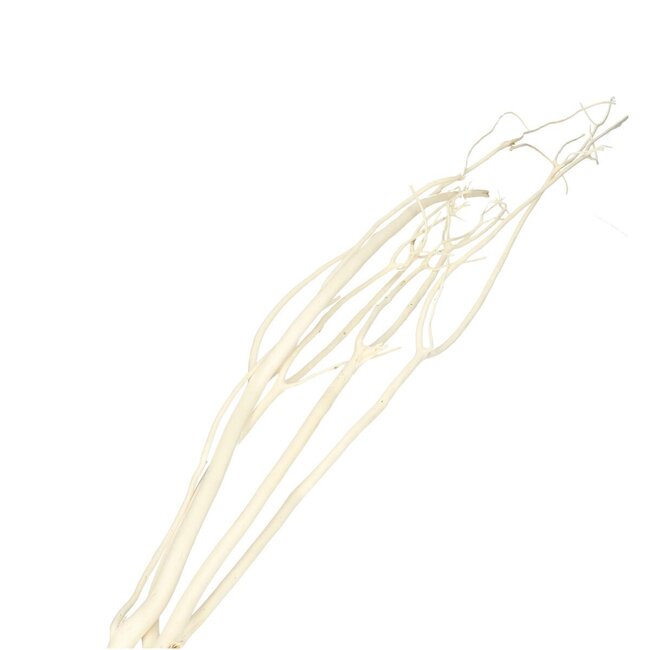 Gedroogde Mitsumata Takken | Kleur: Natuurlijk Wit | Droogdecoratie | Lengte ± 115 centimeter | 3 takken per bos | Per bos