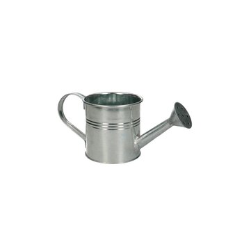 4A Zinc Watering Can | Colour: Silver-coloured | Diameter 9 centimeter | Height 9 centimeter | Per 6 watering cans