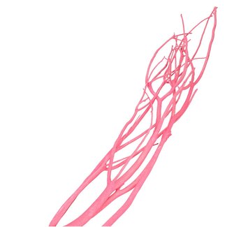 4A Getrocknete Mitsumata Flocken Zweige | Farbe: Rosa | Trockendekoration | Länge ± 115 centimeter | 3 Zweige pro Bund | Pro Bund