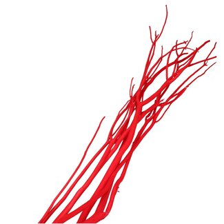 4A Branches en flocons de Mitsumata séchées | Couleur: Rouge | Décoration sèche | Longueur ± 115 centimeter | 3 branches par botte | Par botte