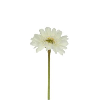 4A Gerbera Fleur artificielle | Couleur: Blanc naturel | Longueur ± 55 centimeter | Par 12 fleurs artificielles