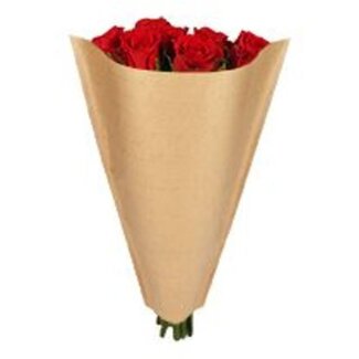 4A Hoezen Kraft 50*35*10cm x50