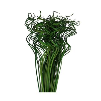 4A Feuille de Palmier Séchée Nervure | Curly Ting Ting | Couleur: vert pomme | Décoration sèche | Longueur ± 70 centimeter | Poids 200 gram | Par bouquet