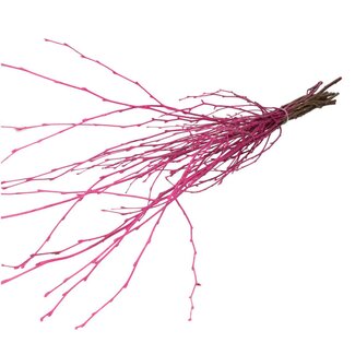4A Dried Birch Branches | Colour: Cherry-coloured | Dried decoration | Length ± 70 centimetre | Per 10 branches